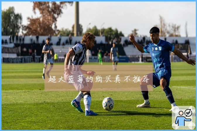 超大蓝莓的购买真不推荐