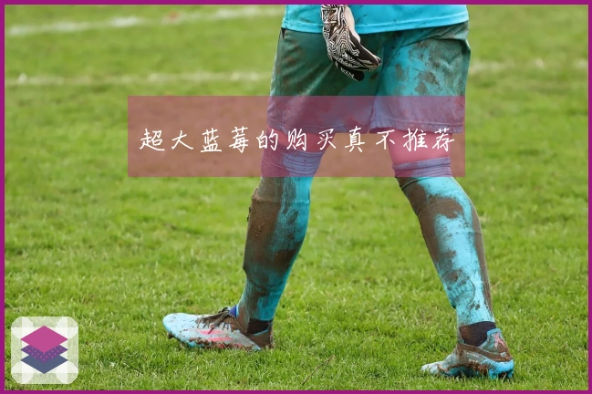 超大蓝莓的购买真不推荐